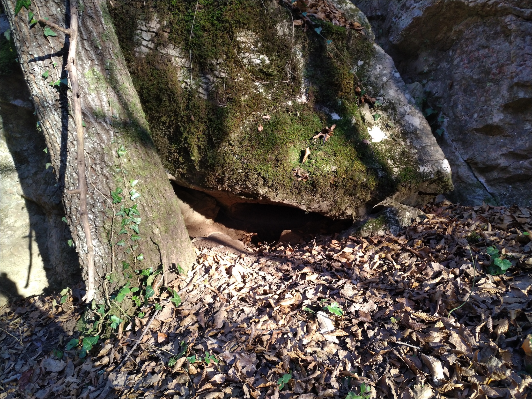 Peștera din V. Doman - Image 3